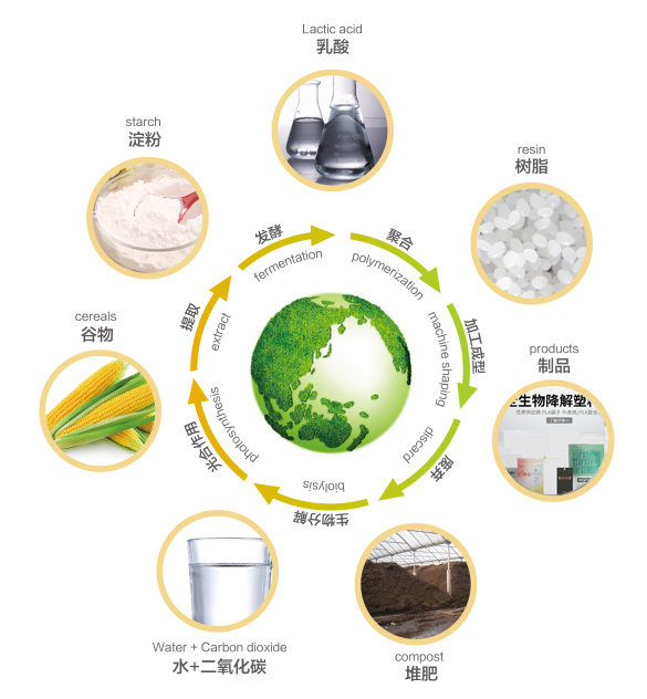 可降解塑料袋在自然界循環(huán)示意圖