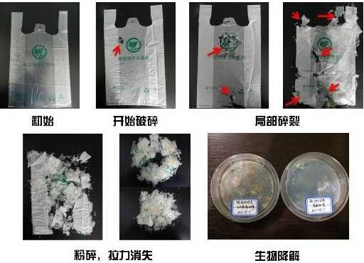 可降解塑料袋中為什么要添加碳酸鈣